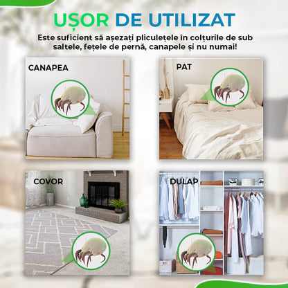 Plasturi Anti-Acarieni – Soluția Rapidă pentru O Casă Fără Alergeni! 🦠